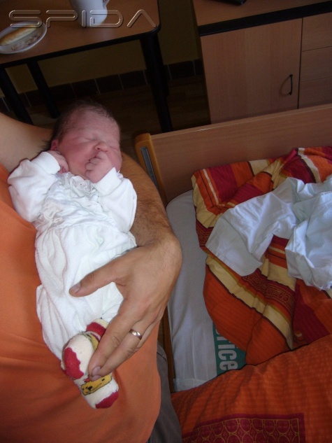 m�j nov� mod�lek