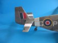 Mustang III