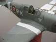 Mustang III