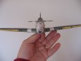 Mustang III