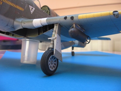 Mustang III Mustang III