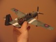 Mustang III