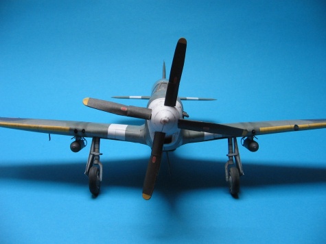 Mustang III Mustang III