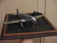 Mustang III