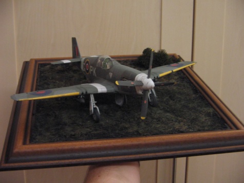 Mustang III