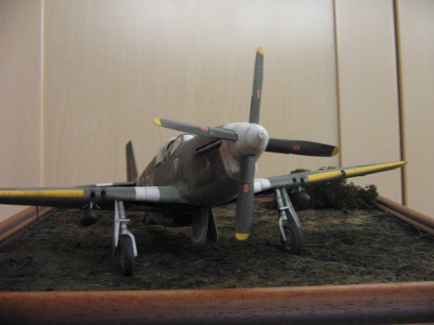 Mustang III