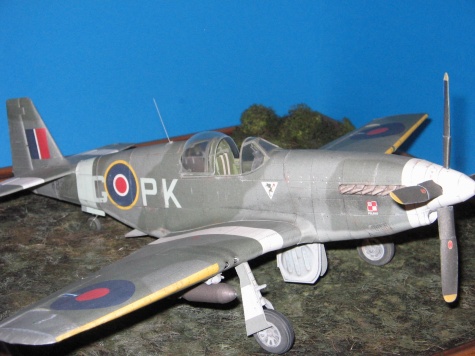 Mustang III