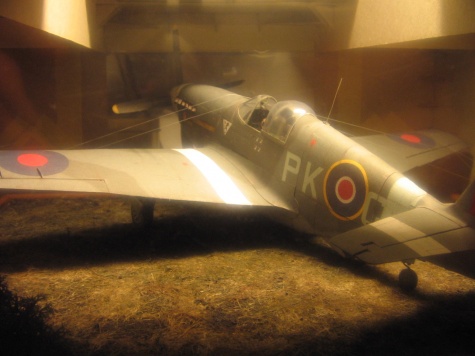 Mustang III