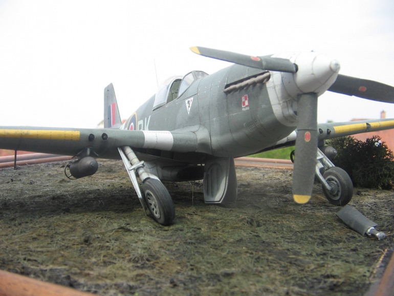 Mustang III