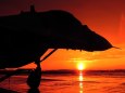 NATO Days 2012