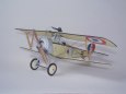 Nieuport 11c.1 