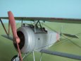 Nieuport 17