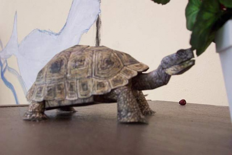 5584