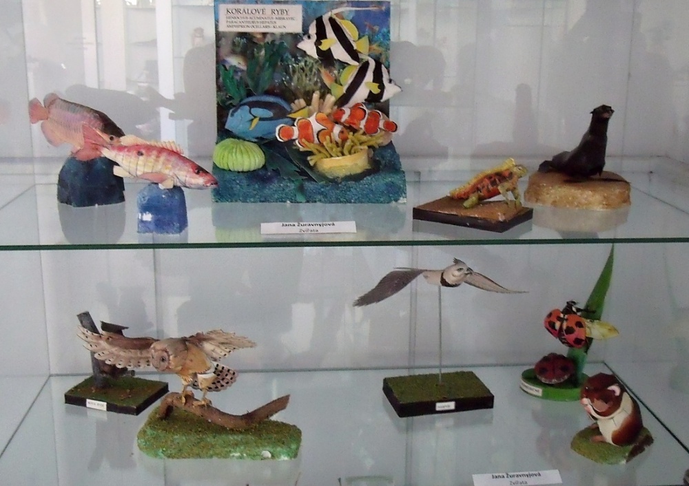 nov� expozice