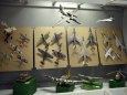 nov� expozice