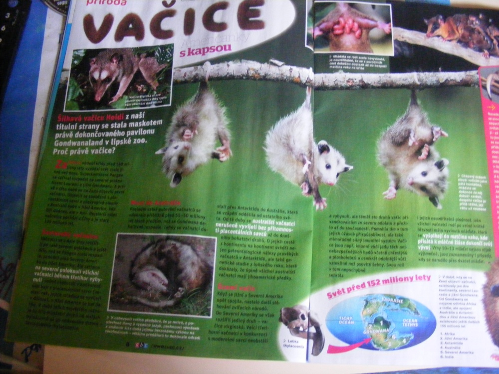 NOVÉ ABC číslo 7 /2011 (Plná velikost v novém okně) NOVÉ ABC číslo 7 /2011