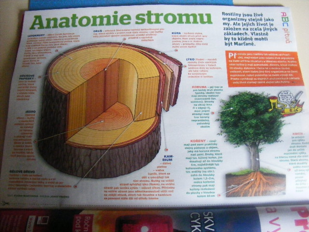 Nové ABC č.6/2011 (Plná velikost v novém okně) Nové ABC č.6/2011
