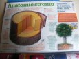 Nov� ABC �.6/2011