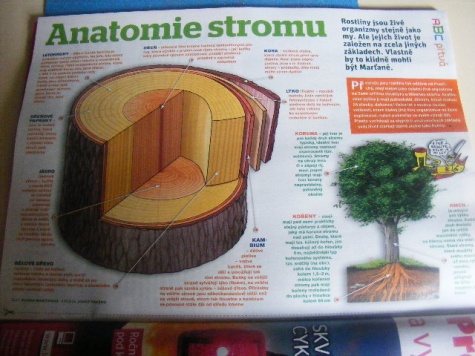 Nové ABC č.6/2011 Nové ABC č.6/2011