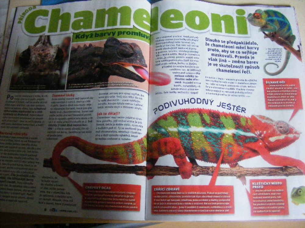Nové ABC č.6/2011 (Plnďż˝ velikost v novďż˝m oknďż˝) Nové ABC č.6/2011