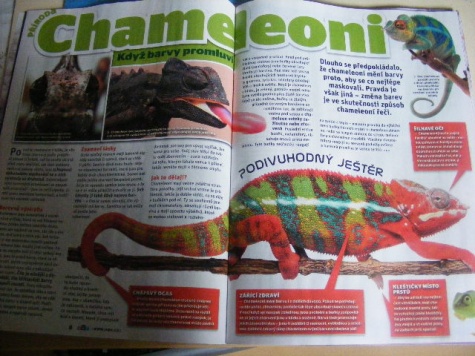 Nov� ABC �.6/2011