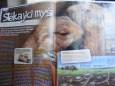 Nov� ��slo ABC  �.8/2011   12.4.2011