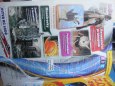 Nov� ��slo ABC  �.8/2011   12.4.2011