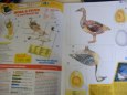 Nov� ��slo ABC 4/2011