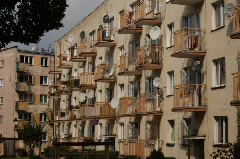 Olesnica 2010