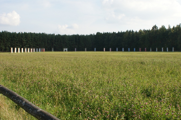 Olesnica 2010