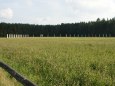 Olesnica 2010