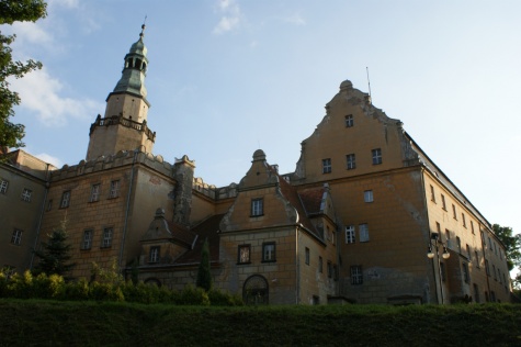 Olesnica 2010