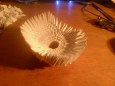 Origami labu�