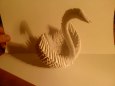 Origami labu�