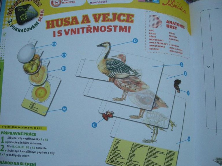 Ostatní -Med. (Plná velikost v novém okně) Ostatní -Med.