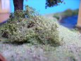ostatn�