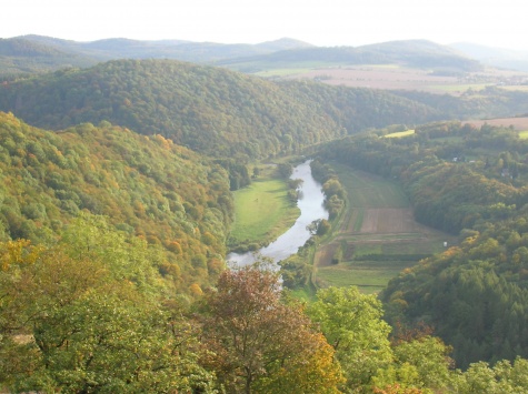 ostatní ostatní