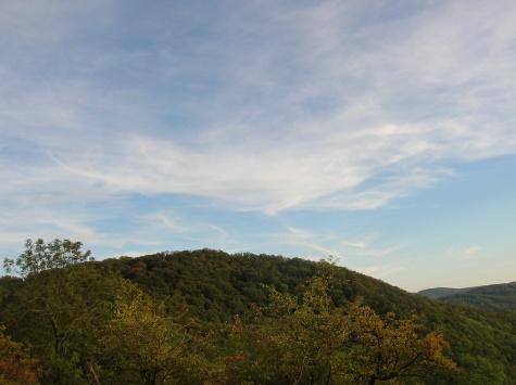 ostatní ostatní