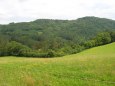 ostatn�