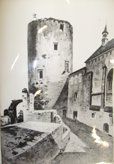 ostatní ostatní