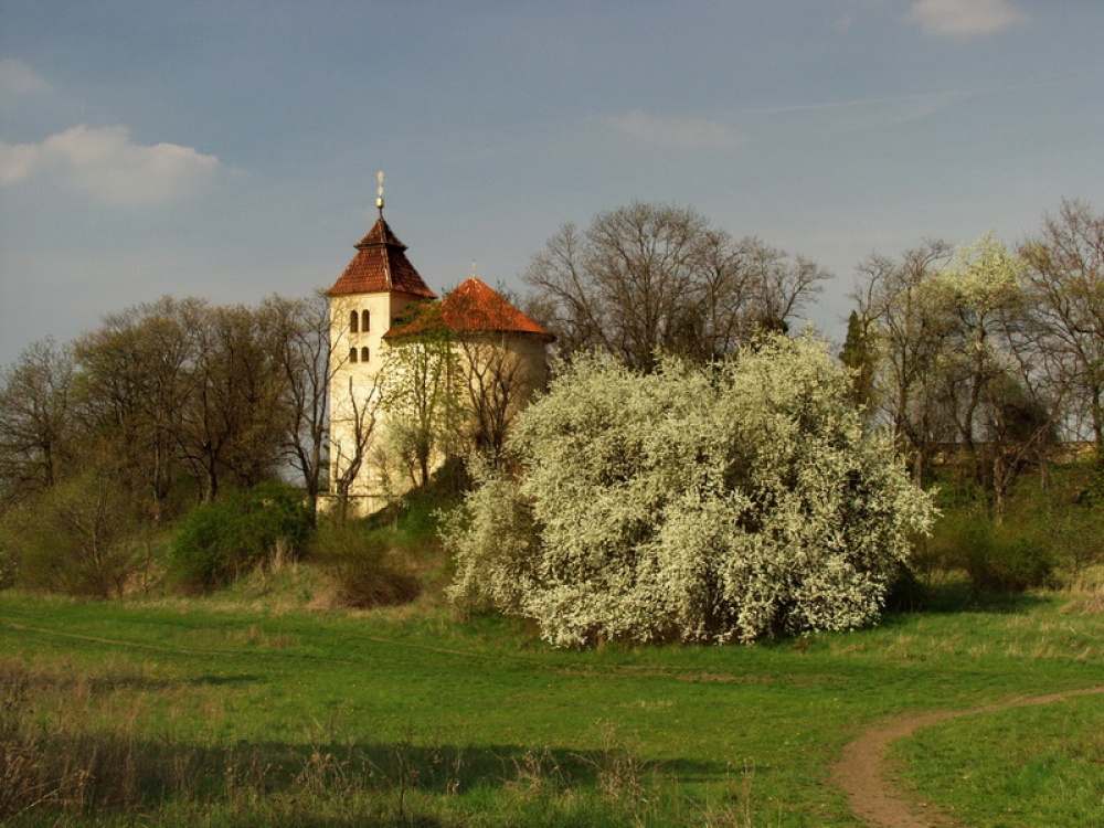 ostatní (Plná velikost v novém okně) ostatní