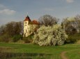ostatn�