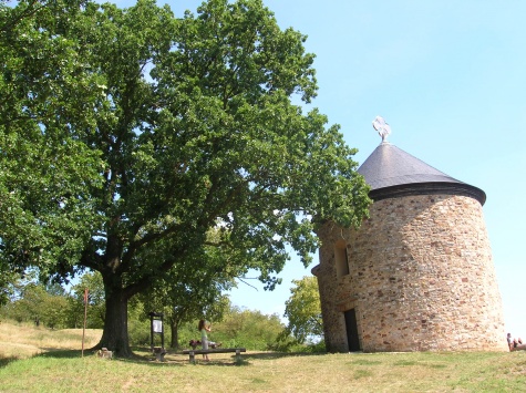 ostatní ostatní