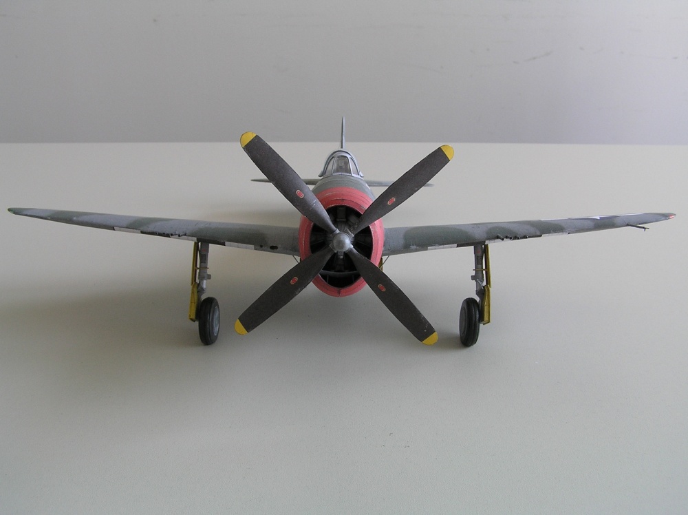 P-47D25 Thunderbolt (Plná velikost v novém okně) P-47D25 Thunderbolt