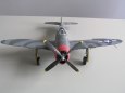 P-47D25 Thunderbolt