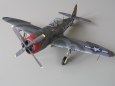P-47D25 Thunderbolt