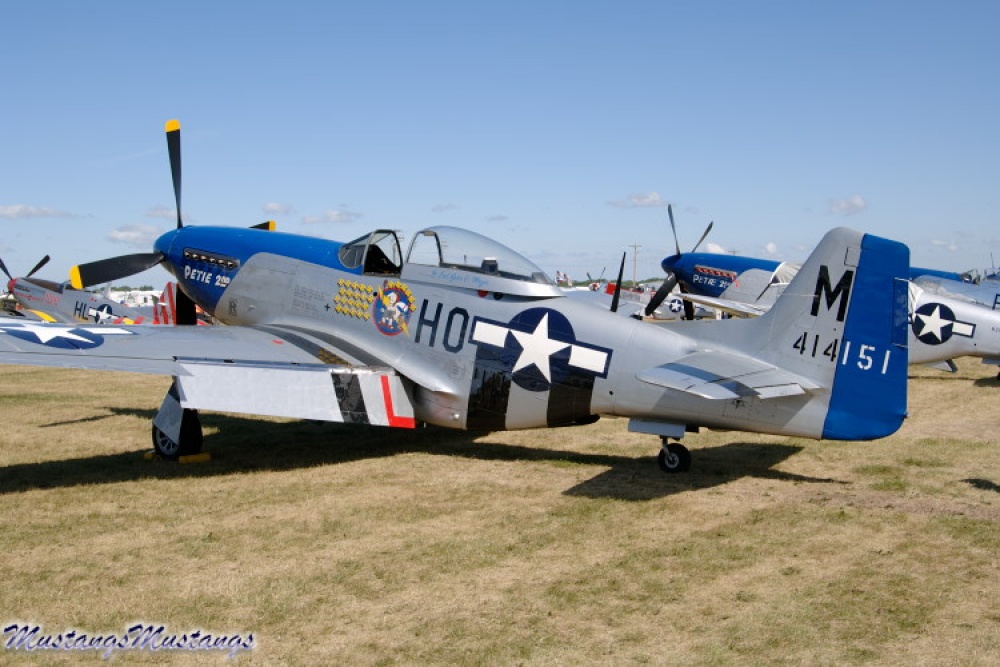 P-51D Mustang (Plná velikost v novém okně) P-51D Mustang