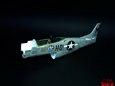 P-51D Mustang