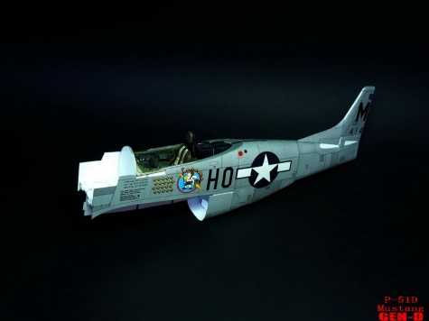 P-51D Mustang P-51D Mustang