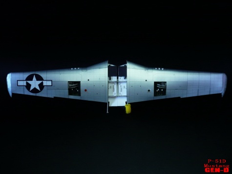 P-51D Mustang P-51D Mustang